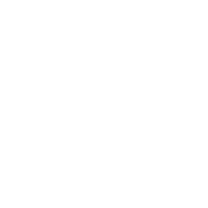 Testing Standards