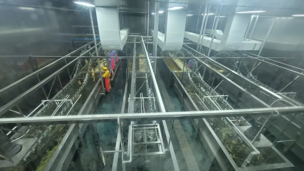 Clean room of poultry slaughterhouse